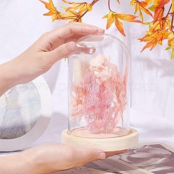 Стеклянный купол&nbsp;ODIS-WH0010-41B