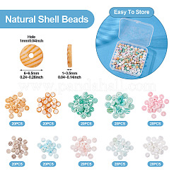 200 шт. 10-х цветные натуральные ракушечные бусины BSHE-TA0001-19