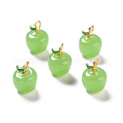 Manuelle Bunte Malerei Anhänger & Charms&nbsp;X-LAMP-A150-06MG-08