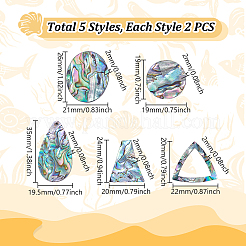 10 Stück 5 Stile natürliche Paua-Muschel-Cabochons&nbsp;FIND-GA0004-93