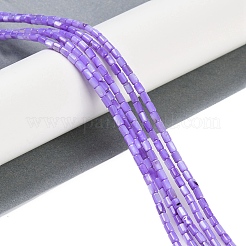 Нити бусин из натуральных пресноводных ракушек BSHE-H109-17C