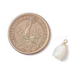 Подвески в виде тюльпана из натуральной раковины трохуса&nbsp;PALLOY-JF04860