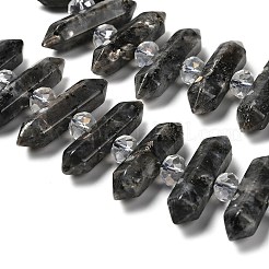 Нити бусин с двойным концом из натурального ларвикита G-H069-B06-01