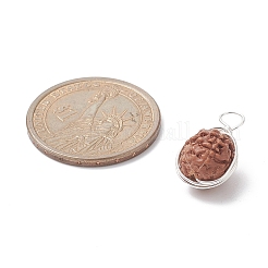 Pendenti avvolti in filo di rame rudraksha naturale&nbsp;PALLOY-JF02066-01