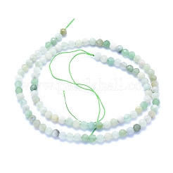 Myanmar natural jade / burmese jade cuentas hebras&nbsp;G-I279-E07