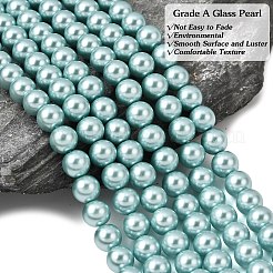 Круглые бусины из экологически чистого окрашенного стекла с жемчугом&nbsp;HY-A002-8mm-RB106