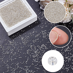 Perle di semi di vetro 100g&nbsp;SEED-SP0001-11A
