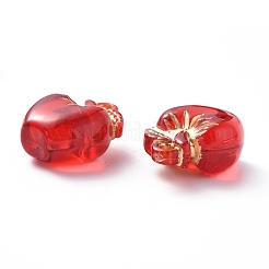 Прозрачные акриловые подвески OACR-P007-07