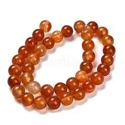 Окрашенные натуральный красный агат бисер пряди&nbsp;G-G203-10H-10mm