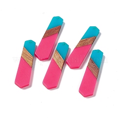 Подвески из непрозрачной смолы и ореха RESI-M027-06G