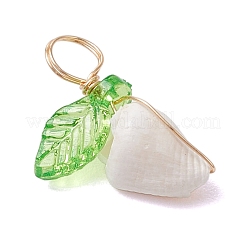 Подвески из натуральной морской ракушки&nbsp;PALLOY-JF03610-02