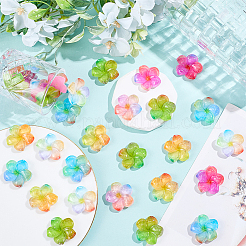 48 Stück 6 Farben transparente Harz Cabochons&nbsp;RESI-SC0006-62