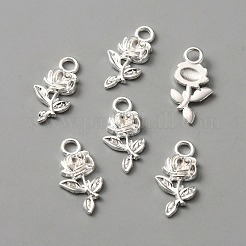 Подвески из сплава  FIND-WH0111-261S