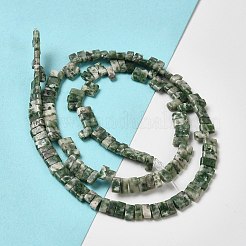 Натуральные зеленые пятна яшмовых нитей G-Z045-A02-01