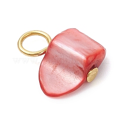 Подвески из натуральных окрашенных морских ракушек&nbsp;PALLOY-JF04307-02