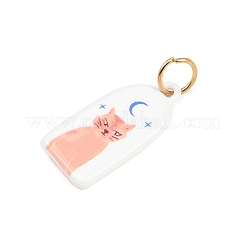 Подвески из нержавеющей стали 304 с эмалью&nbsp;STAS-C169-01C