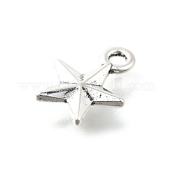 Pendente in lega stile tibetano&nbsp;LS-PALLOY-R157-01AS-02