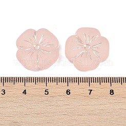 Матовые прозрачные акриловые бусины&nbsp;X1-OACR-P029-19B-02