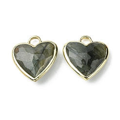 Природные подвески лабрадорита&nbsp;G-O204-01D