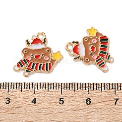 Подвески из эмали и сплава ENAM-I061-01KCG-22