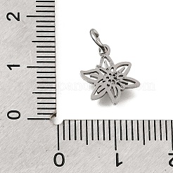 Anhänger aus 304 Edelstahl&nbsp;SA-CBA4CE0-01P-K