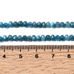 Natürliche Apatit Perlen Stränge&nbsp;G-K376-I09-3x4mm