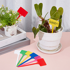 120 шт. 6-х цветные прямоугольные пластиковые этикетки для растений DIY-BC0015-61