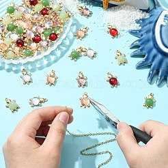 60шт 6 цвета подвески из акрилового сплава&nbsp;FIND-CJ0003-81