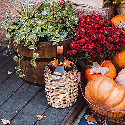 8 шт. кольца для салфеток из ткани с кленовым листом AJEW-GF0005-14