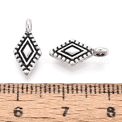 Tibetischer stil Aluminium Anhänger & Charms&nbsp;TIBE-N015-02AS