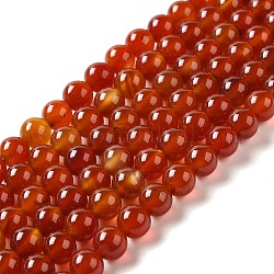 Chapelets de perles d'agate naturelle, teinte, ronde, rouge, 8mm, Trou: 1mm, Environ 52 pcs/chapelet, 15.5 pouce