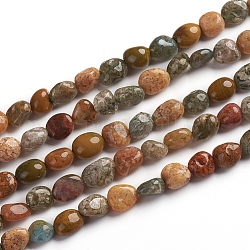 Fili di perle di agata / diaspro oceaniche naturali, pietra burrattata, pepite, 6.5~9.5x5.5~7.5x3.5~5.5mm, Foro: 0.8 mm, circa 50pcs/filo, 15.67 pollice (39.8 cm)