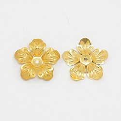 5-Petal Brass Bead Caps, Flower, Nickel Free, Golden, 20x4mm, Hole: 1mm