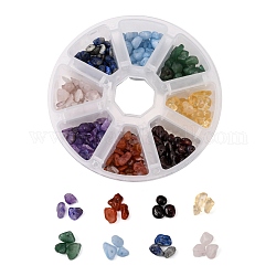 8 Farben Naturstein-Chip-Perlen-Sets, natürlicher roter Südachat & Granat & Citrin & grüner Aventurin & Aquamarin & Lapislazuli & Amethyst & Bergkristall, 2.5~16x3~11.5 mm, Bohrung: 0.5~1 mm, 82 g / box
