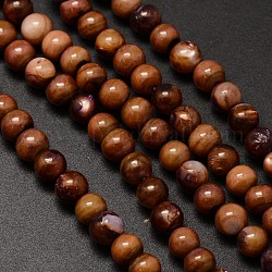 Brins de perles rondes en coquille d'eau naturelle, teinte, brun coco, 6mm, Trou: 1mm, Environ 62 pcs/chapelet, 14.5 pouce