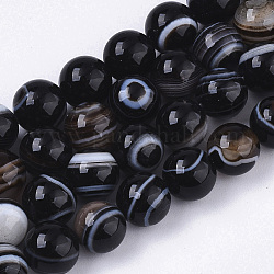 Tibetan Style 1-Eye dZi Beads, Natural Agate Beads Strands, Dyed, Round, 8~9mm, Hole: 1.2mm, about 47~48pcs/strand, 14.96 inch~15.27 inch(38cm~38.8cm)