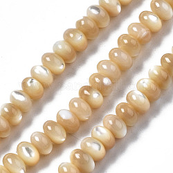 Fili di perle di conchiglia trochid naturale / trochus, rondelle, Burlywood, 6x4mm, Foro: 0.8 mm, circa 107~110pcs/filo, 15.75 pollice (40 cm)