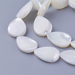 Perlas de concha hebras, lágrima, 19.5~20x14.8~15x3.5~4.5mm, agujero: 0.7 mm, aproximamente 20 pcs / cadena, 15.43 pulgada (39.2 cm)