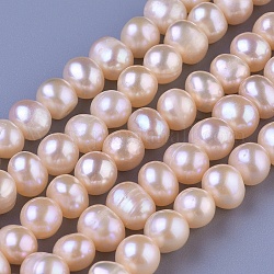 Brins de perles de culture d'eau douce naturelles, ronde, peachpuff, 5~6mm, Trou: 0.8mm, Environ 61~62 pcs/chapelet, 14.17 pouce (36 cm)
