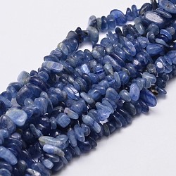 Perles de copeaux de cyanite naturelle / cyanite / disthène, 5~14x4~10mm, Trou: 1mm, environ 15.5 pouce ~ 16.1 pouces