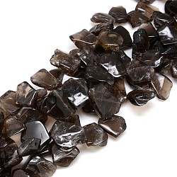 Natural Gemstone Smoky Quartz Chip Beads Strands, 10~25x10~25x5~7mm, Hole: 1mm, about 28~30pcs/strand, 15.74inch
