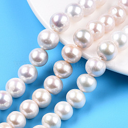 Fili di perle di keshi di perle barocche naturali, perla d'acqua dolce coltivata, tondo, bianco crema, 9.5~13x10.5~13mm, Foro: 0.8 mm, circa 31~33pcs/filo, 15.83 pollice ~ 16.06 pollici (40.2~40.8 cm)