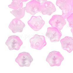 Прозрачные двухцветные стеклянные бусины, окрашенные распылением, цветок, розовый жемчуг, 7x11.5x11.5 мм, отверстие : 1.2 мм