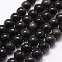 Natürlichen Obsidian Perlen Stränge, Klasse aaa, Runde, Schwarz, 10 mm, Bohrung: 1 mm, ca. 38 Stk. / Strang, 15.7 Zoll
