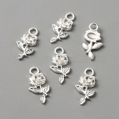 Подвески из сплава  FIND-WH0111-261S-1