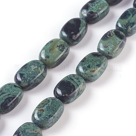 Natural Kambaba Jasper Beads Strands G-I231-03-1