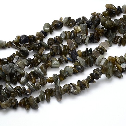 Natural Labradorite Beads Strands G-O049-C-46-1