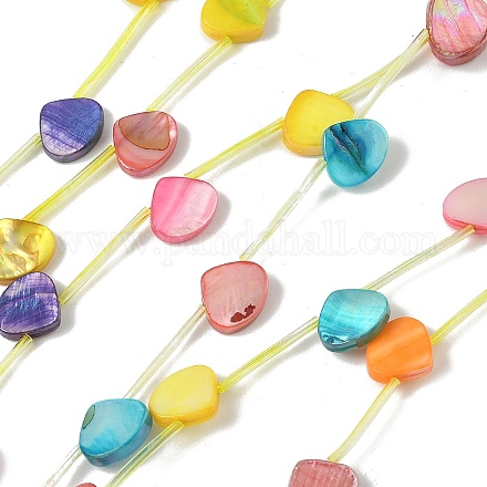 Нити бусин из натуральных пресноводных ракушек SHEL-K006-52A-1