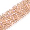 Electroplate Glass Beads Strands, Half Rainbow Plated, Faceted, Rondelle, PeachPuff, 2.3~2.7x2mm, Hole: 0.4mm, about 135~140pcs/strand, 26~27cm
