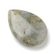 Natural Labradorite Pendants X-G-B013-06A-01-3